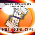 Kamagra 100Mg Oral Jelly Sildenafil 5Gm 12